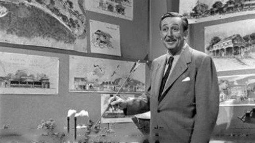 The Disneyland Story