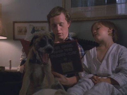 The Baby-Sitter