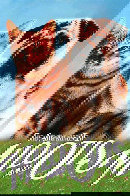 The Adventures of Milo and Otis