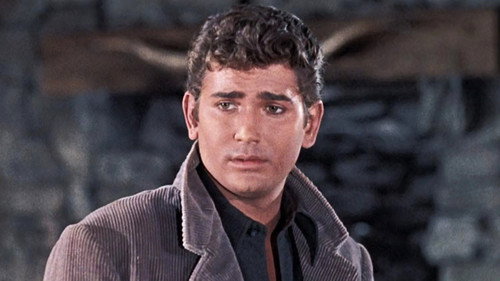 The Julia Bulette Story