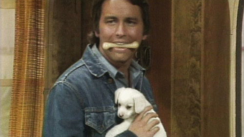 No Children, No Dogs