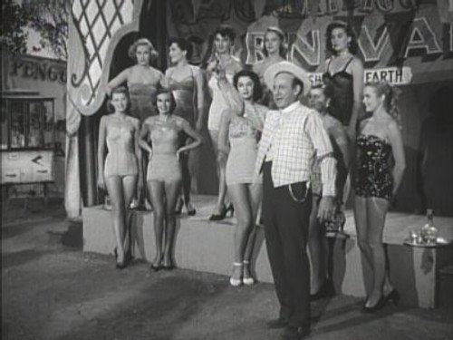 The Charity Bazaar