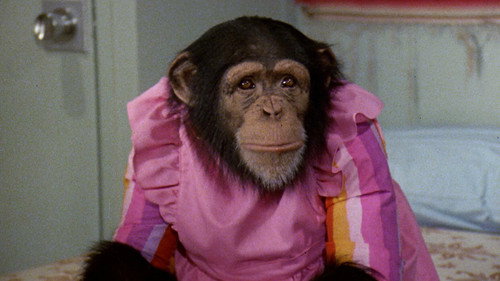 Isaac's Double Standard/One More Time/Chimpanzeeshines